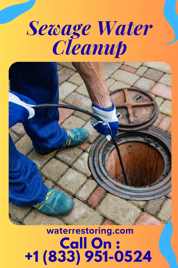 Sewage Water Cleanup in Ozan, AR